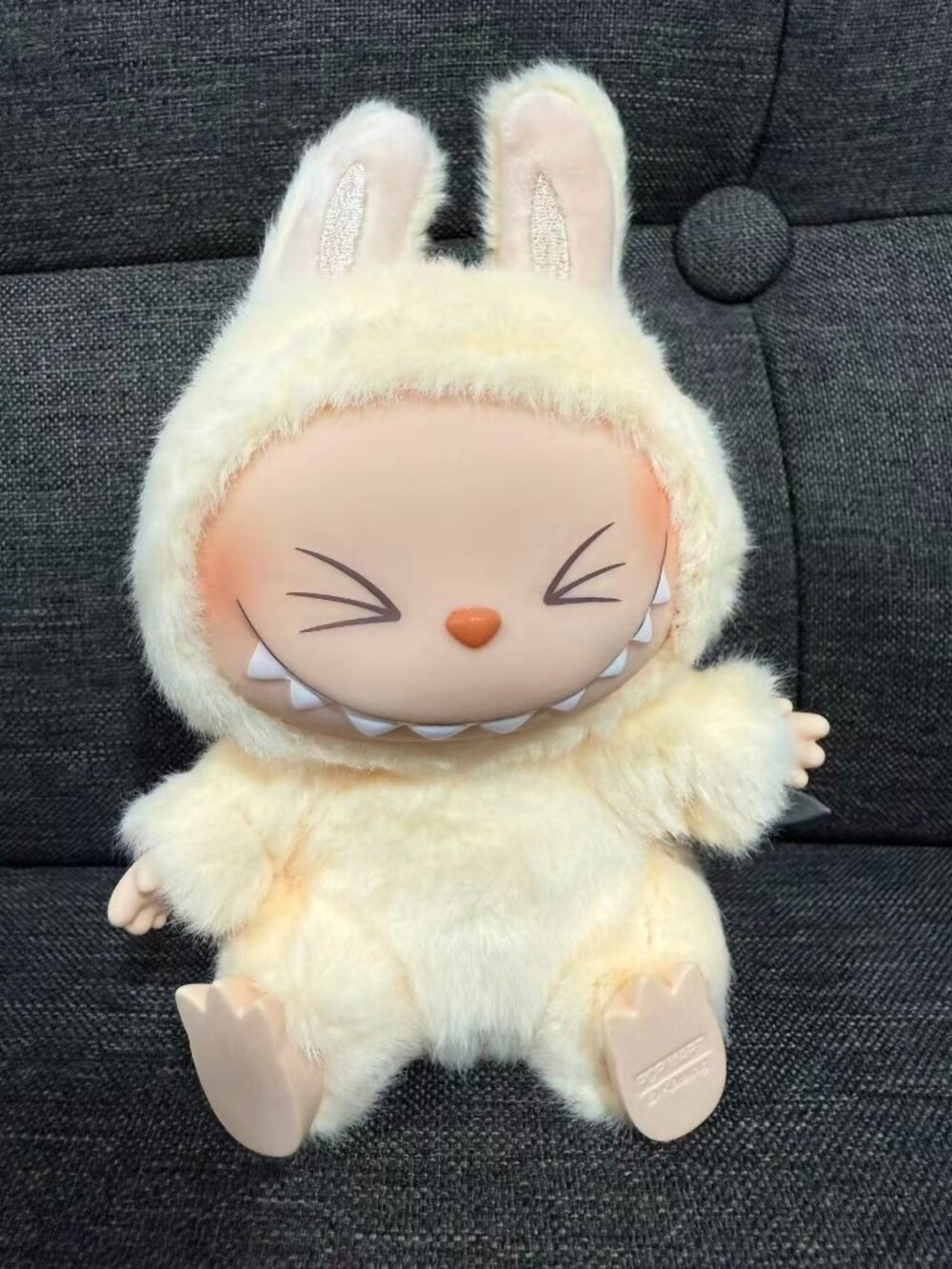 Labubu2.0 have a seat series Confirmed box SISI
